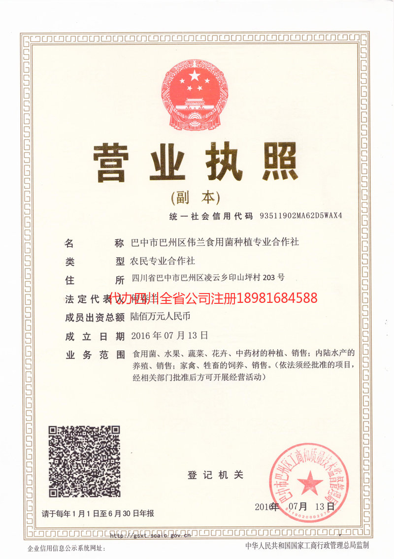 珲春珲春伟兰食用菌种植专业合作社